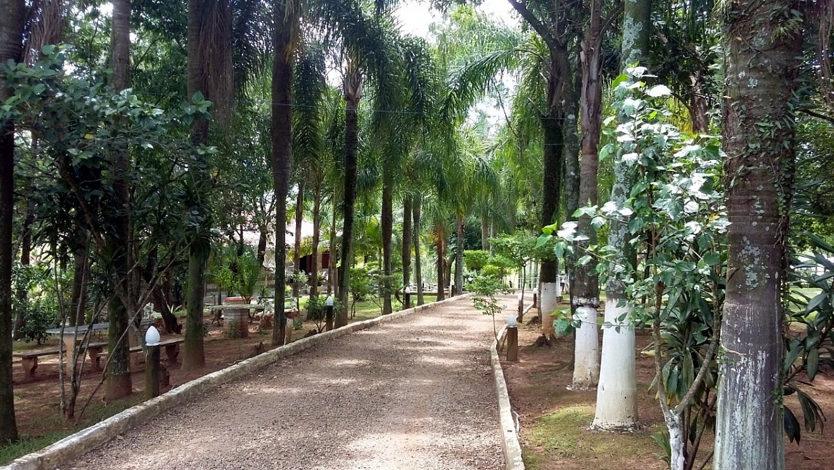 Centro de Recuperação Luz do Vale precisa de apoio da população 1 Centro de Recuperação Luz do Vale precisa de apoio da população