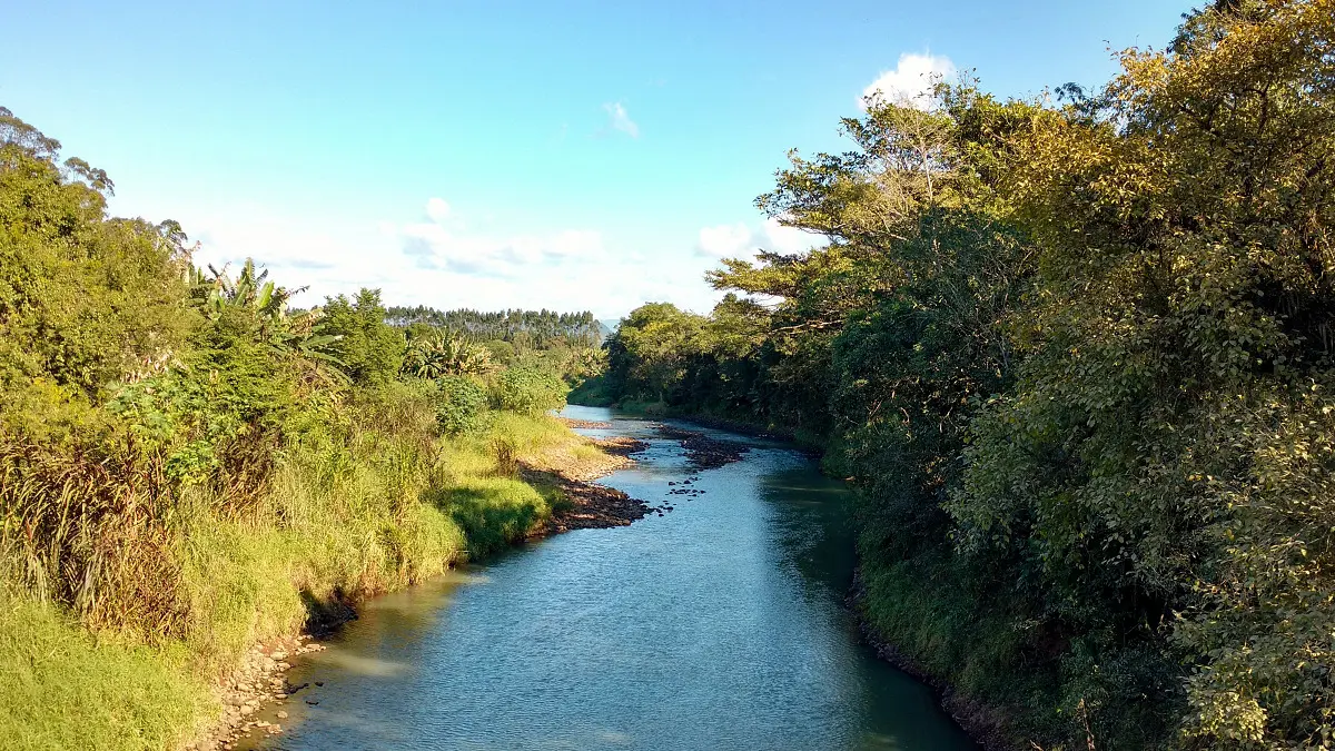 Comitê Araranguá completa 17 anos de ações pela preservação das águas no Sul catarinense