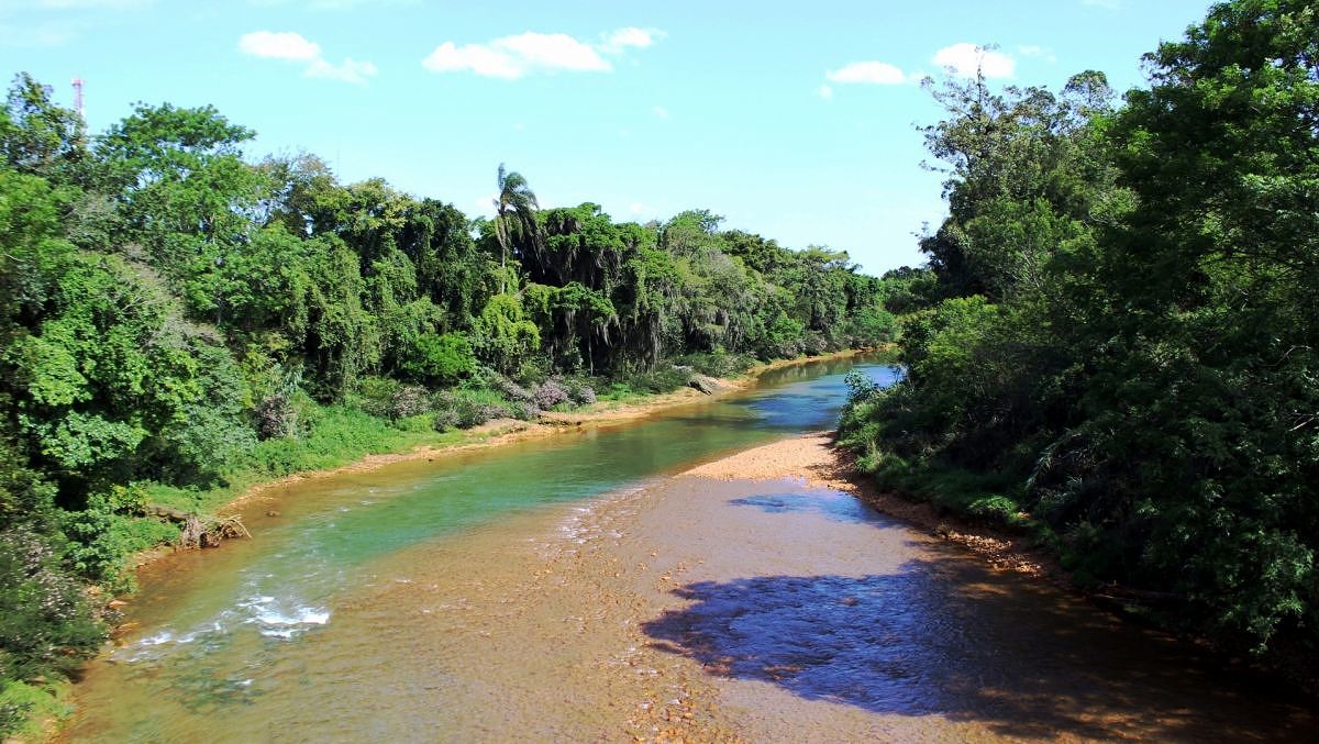 Comitê Araranguá fortalecerá ações de educação ambiental na região
