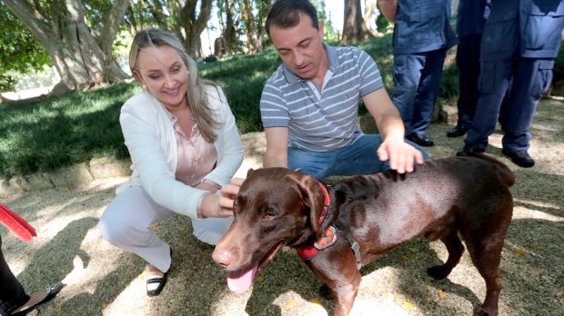 Moisés e Daniela recepcionam bombeiros e cães que retornaram de missão em Brumadinho