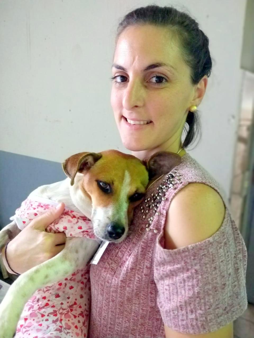  Mutirão castra 70 animais em sua oitava edição em Nova Veneza