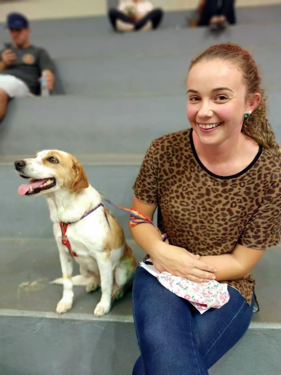  Mutirão castra 70 animais em sua oitava edição em Nova Veneza