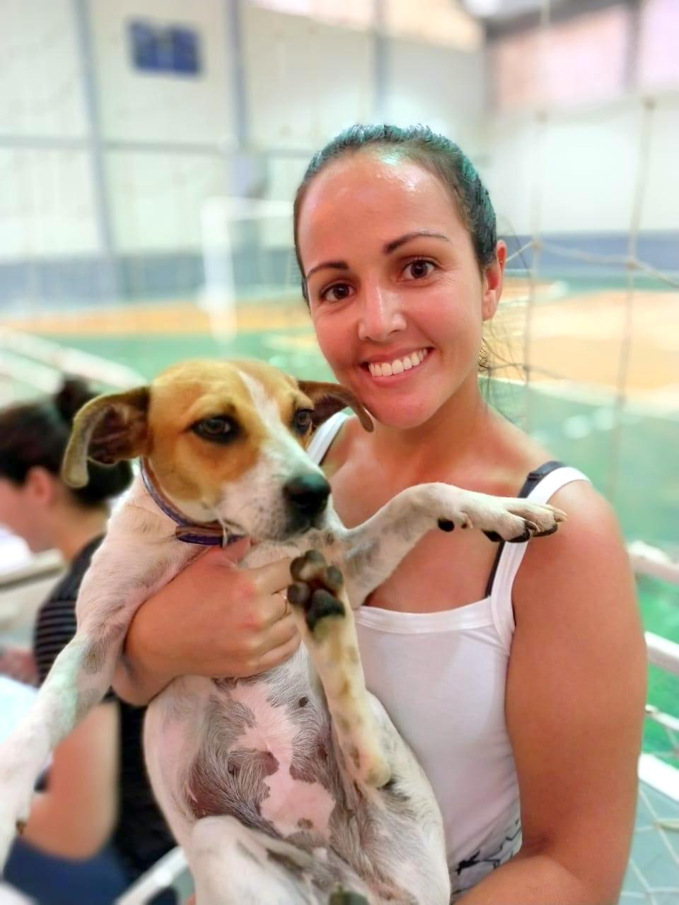  Mutirão castra 70 animais em sua oitava edição em Nova Veneza