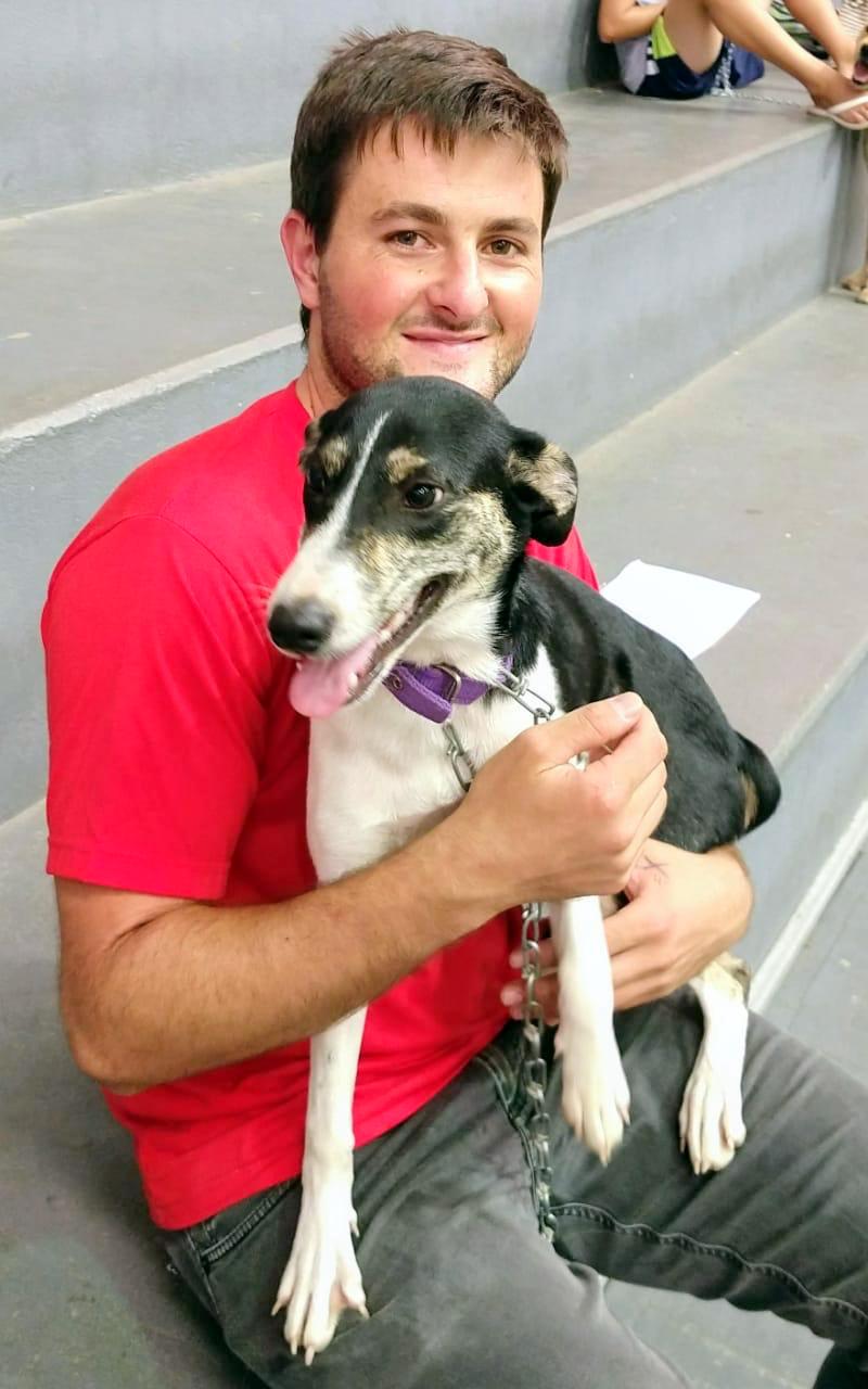  Mutirão castra 70 animais em sua oitava edição em Nova Veneza