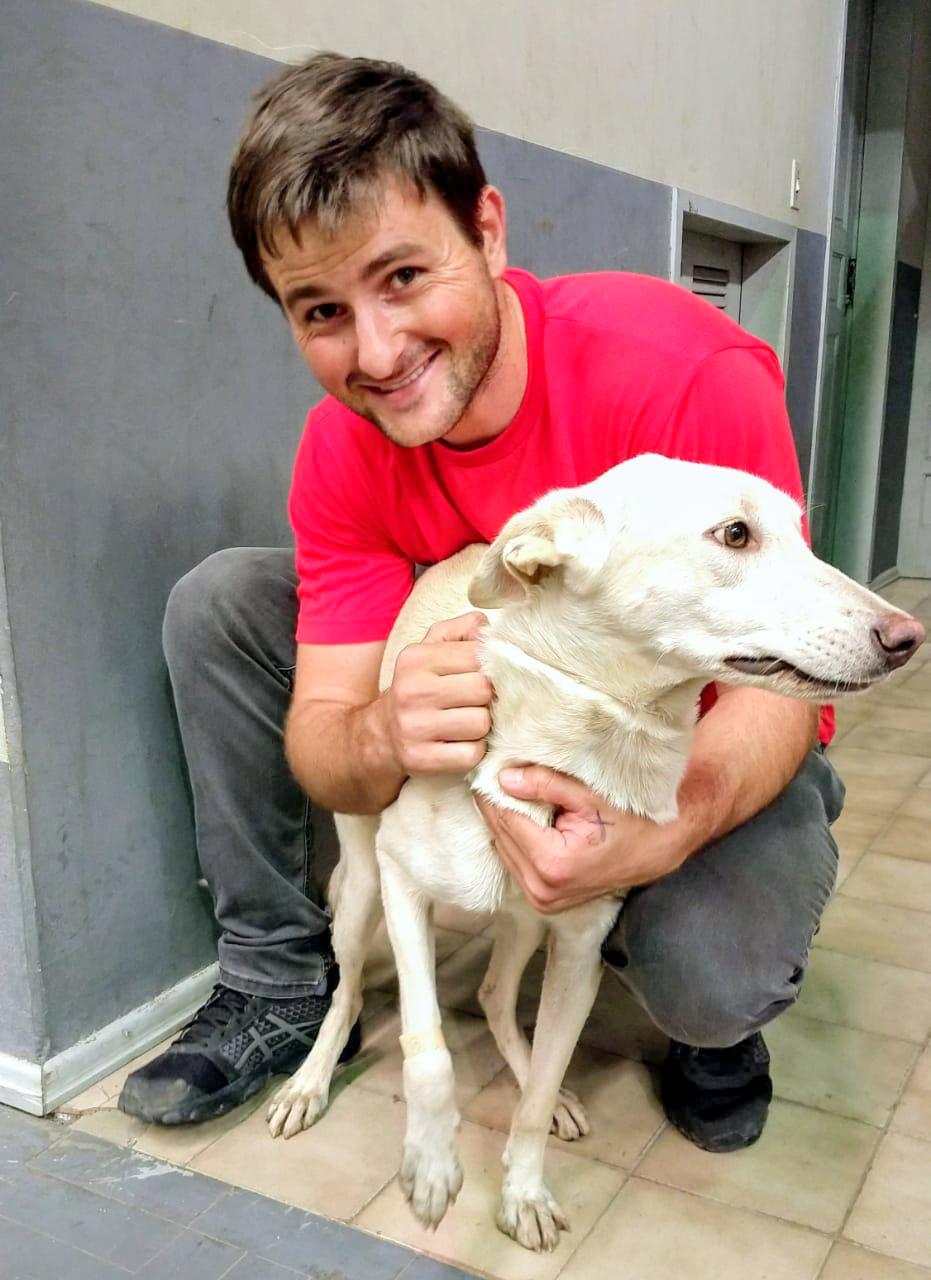  Mutirão castra 70 animais em sua oitava edição em Nova Veneza