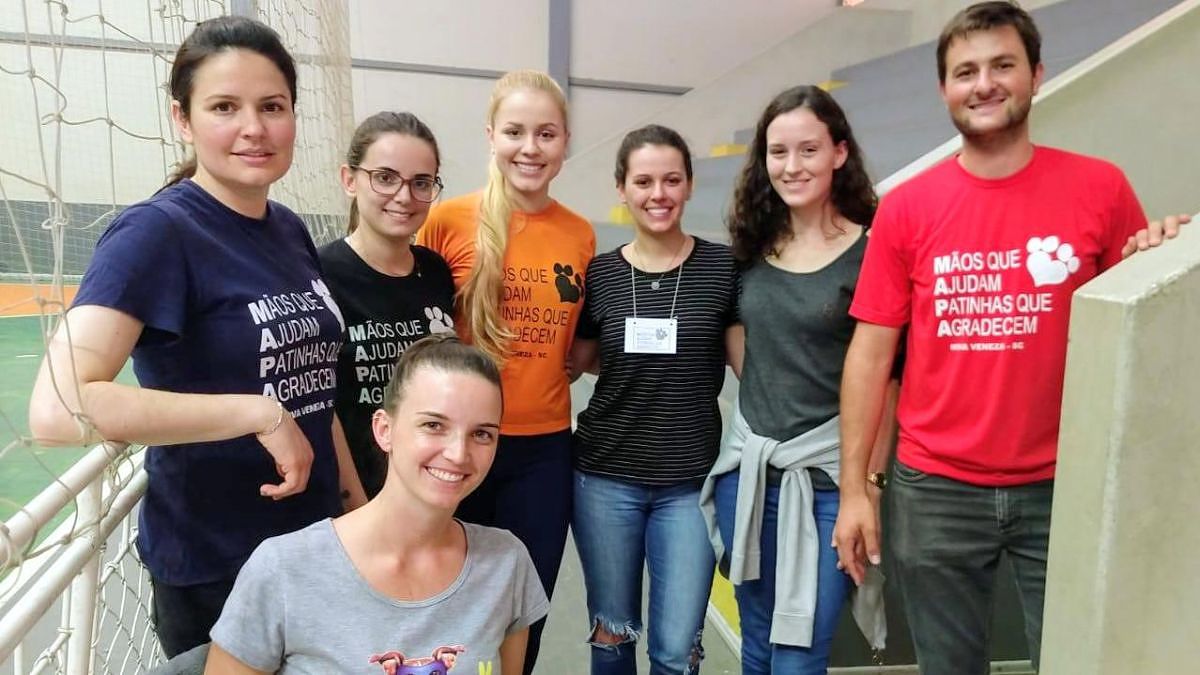  Mutirão castra 70 animais em sua oitava edição em Nova Veneza