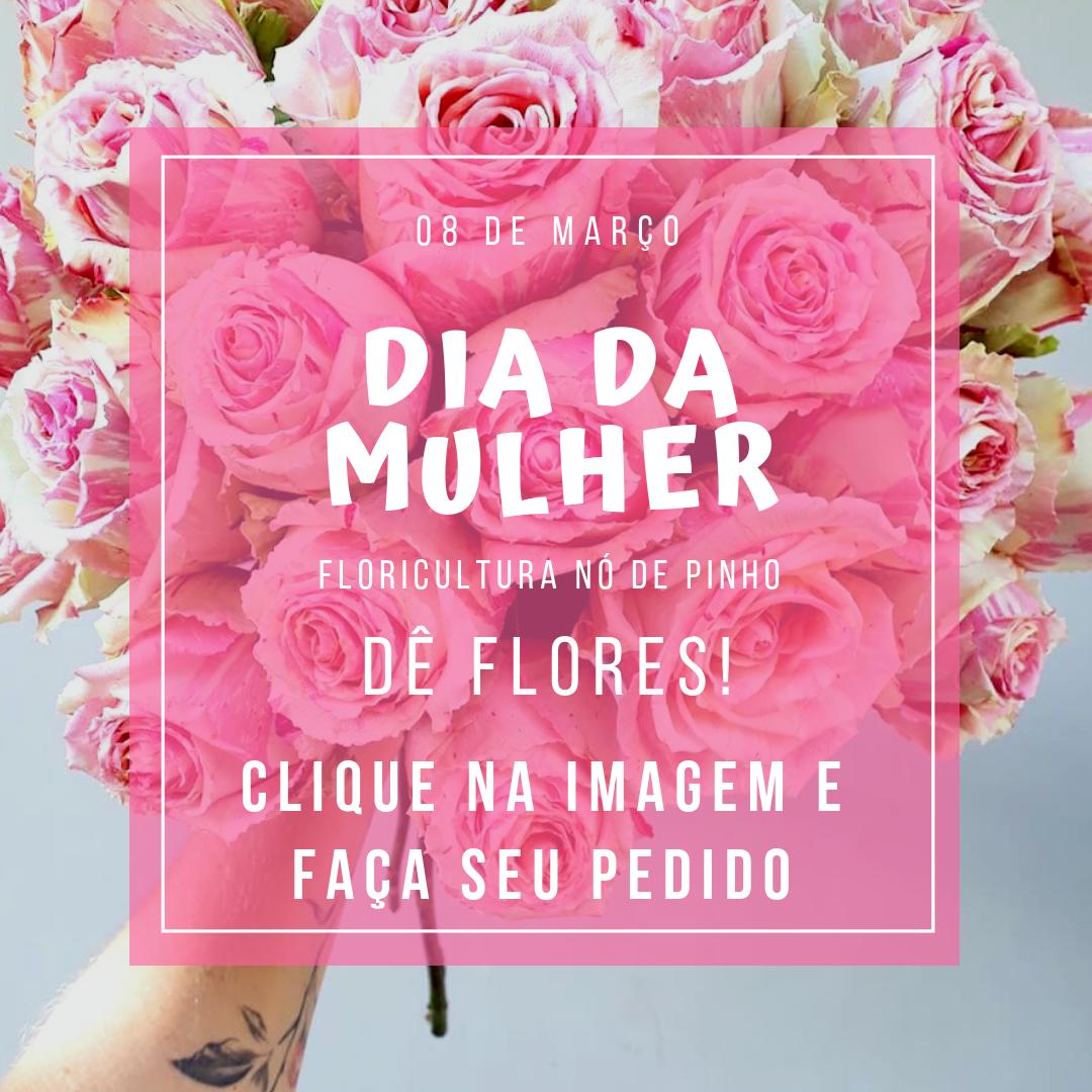 Nó de Pinho aposta em embalagens ecológicas para o Dia Internacional da Mulher