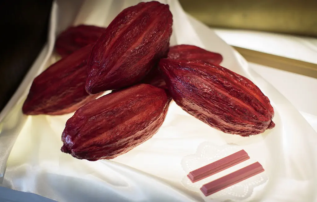 Chocolate Ruby se torna o 4º sabor de chocolate no mundo