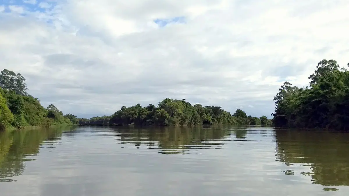 Análise de águas evidencia acidez dos Rios Mãe Luzia e Araranguá