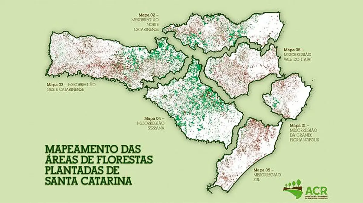 Faturamento do setor florestal catarinense passa de R$ 1,38 bilhão em 2018