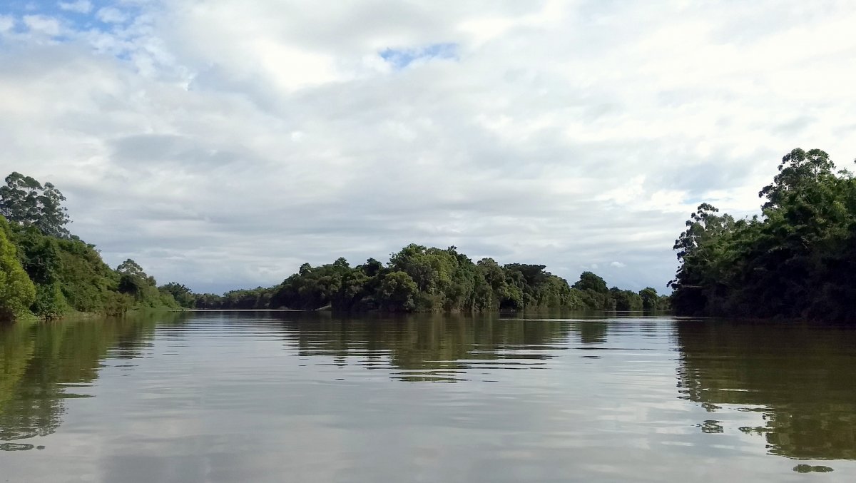 Água e saneamento: experiência de SP para motivar mais preservação no Sul catarinense