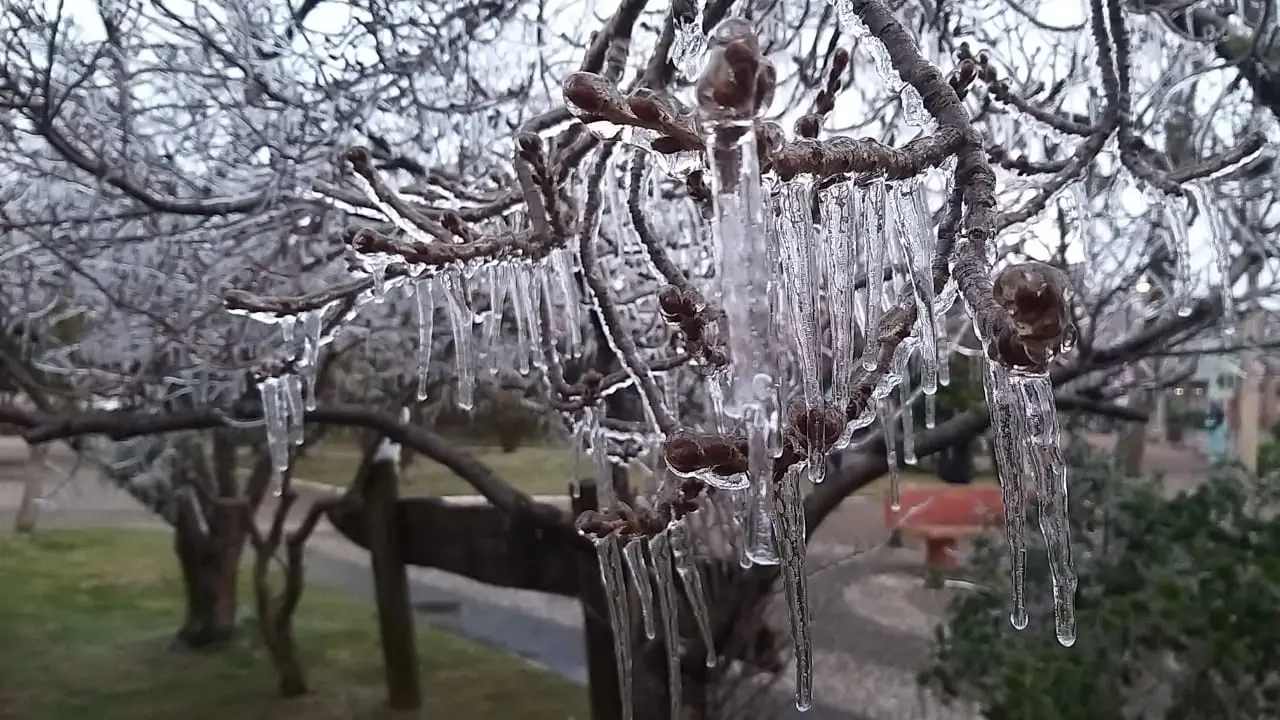 Quarta e quinta-feira com previsão de neve em SC