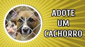 Novamente cachorros 2 Novamente cachorros