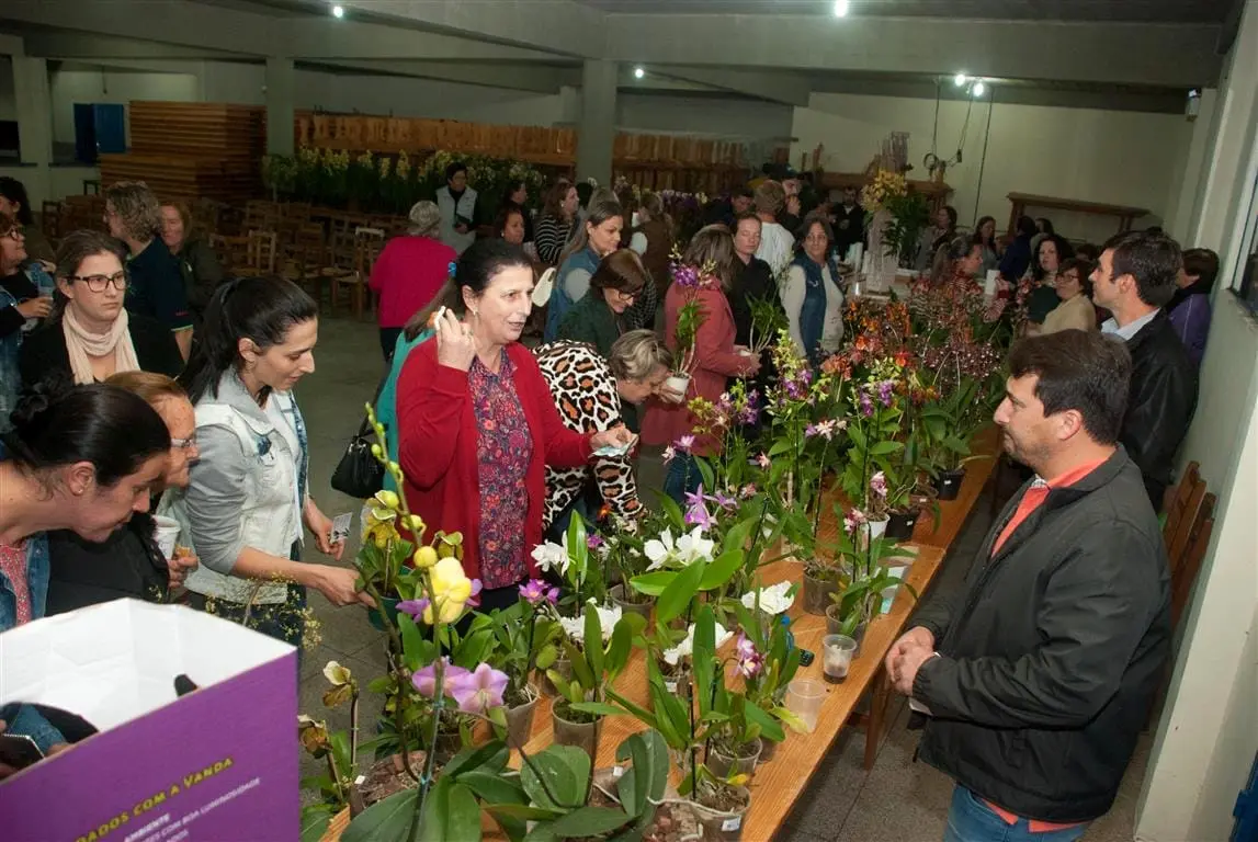 Floricultura Nó de Pinho promove 2º workshop sobre orquídeas