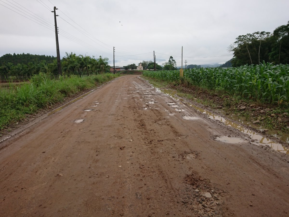 SOS Picadão: grupo luta pela pavimentação da principal estrada da comunidade