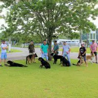 Agropecuária e Pet Shop Nuernberg promove o 1º Encontro de Grandes Raças