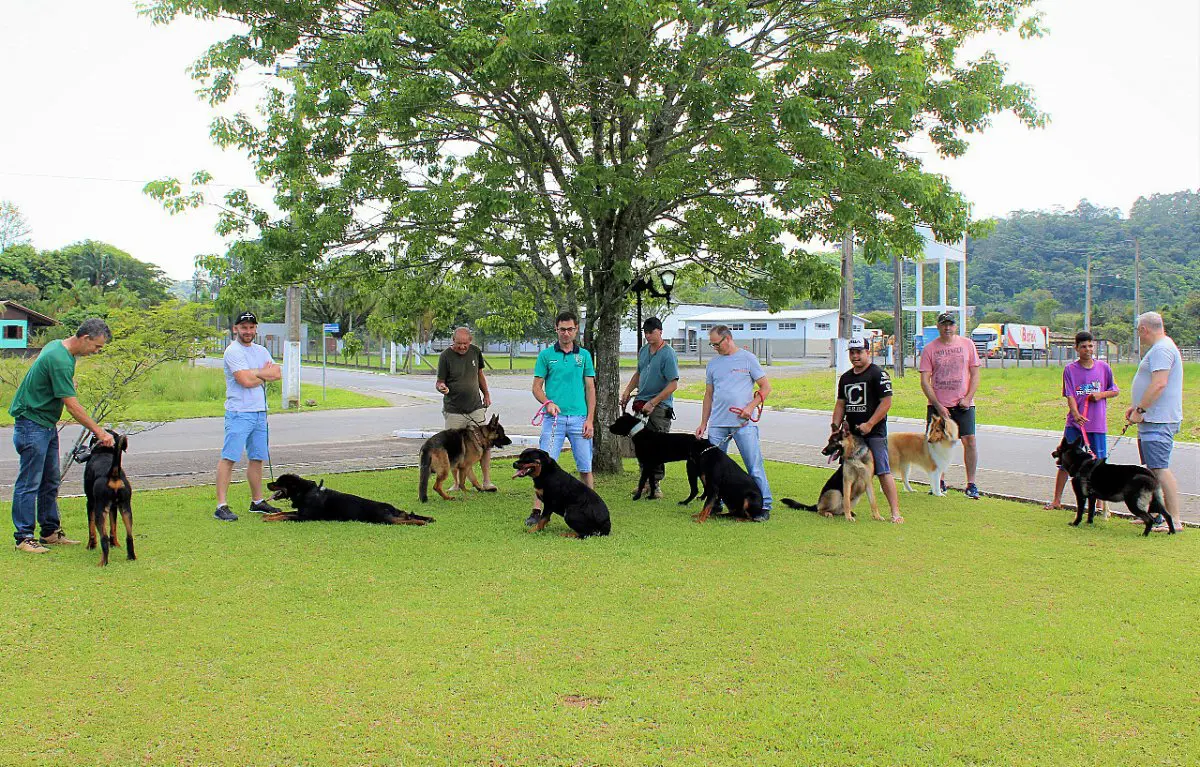 Agropecuária e Pet Shop Nuernberg promove o 1º Encontro de Grandes Raças