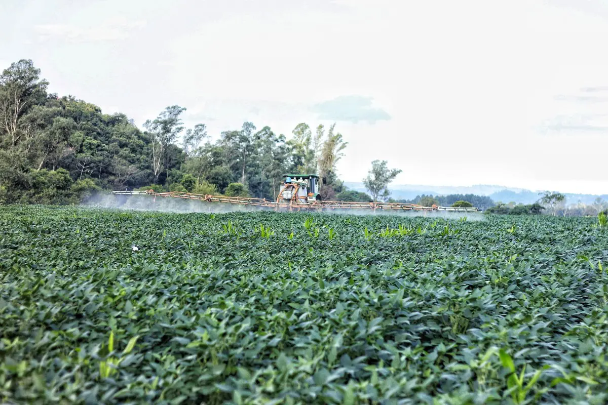 Santa Catarina pretende manter isenção de impostos para defensivos agrícolas