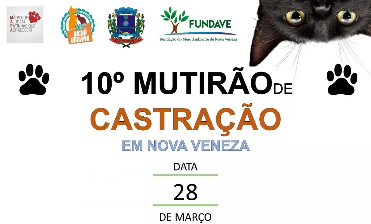 Inscrições abertas para o 10° Mutirão de Castração em Nova Veneza