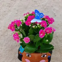 Floricultura Nó de Pinho lança campanha para homenagear todos os tipos de mães