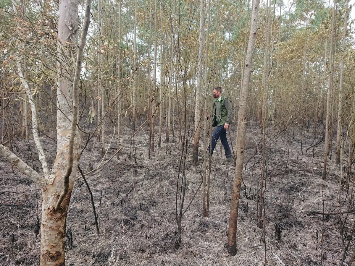 Fogo na serrinha do São Francisco queimou aproximadamente 3 hectares de vegetação