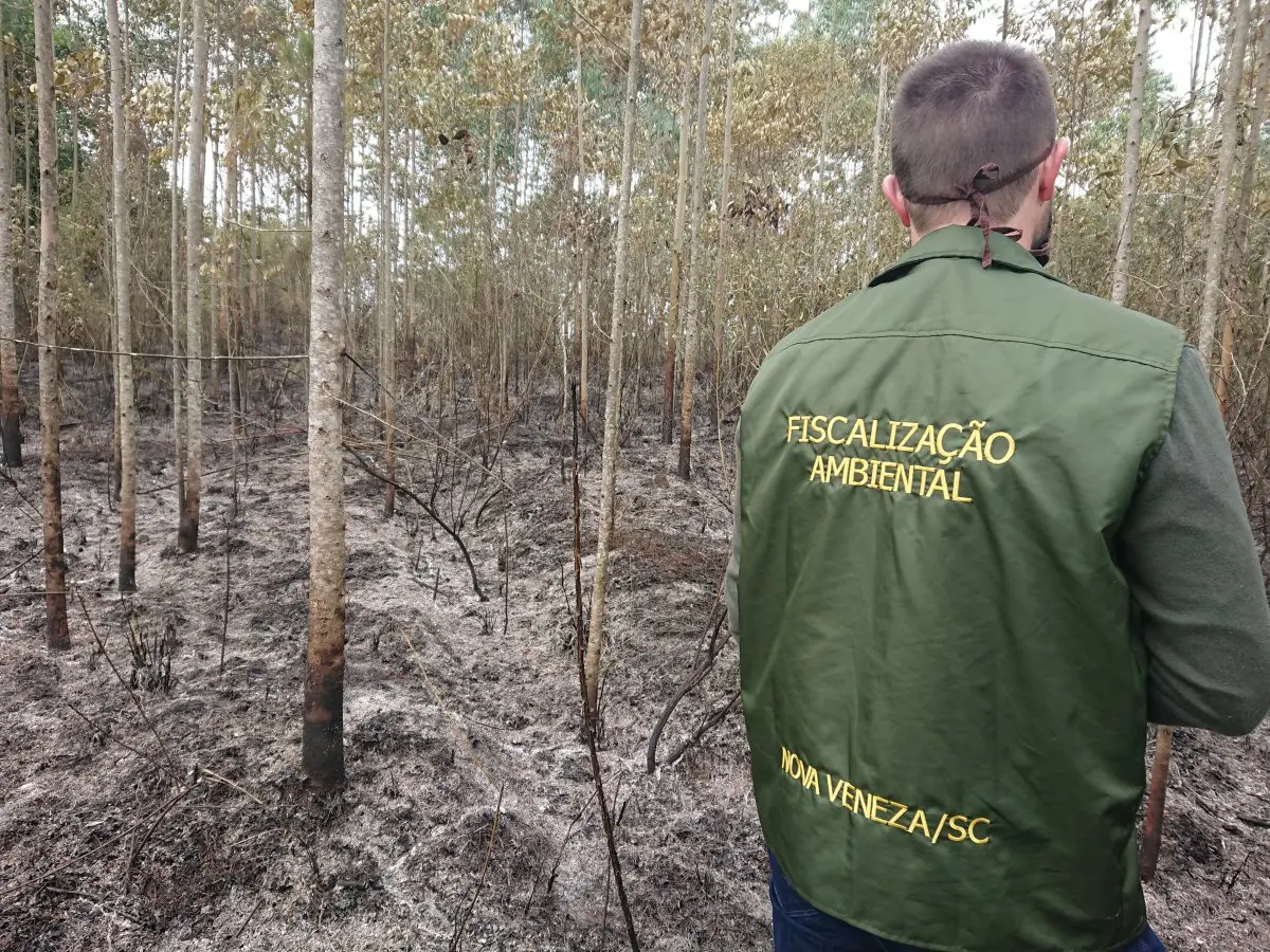 Fogo na serrinha do São Francisco queimou aproximadamente 3 hectares de vegetação