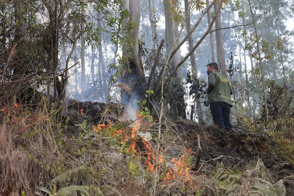 Fogo na serrinha do São Francisco queimou aproximadamente 3 hectares de vegetação