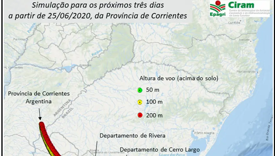 Nuvem de gafanhotos permanece na Argentina e deve seguir para o Uruguai