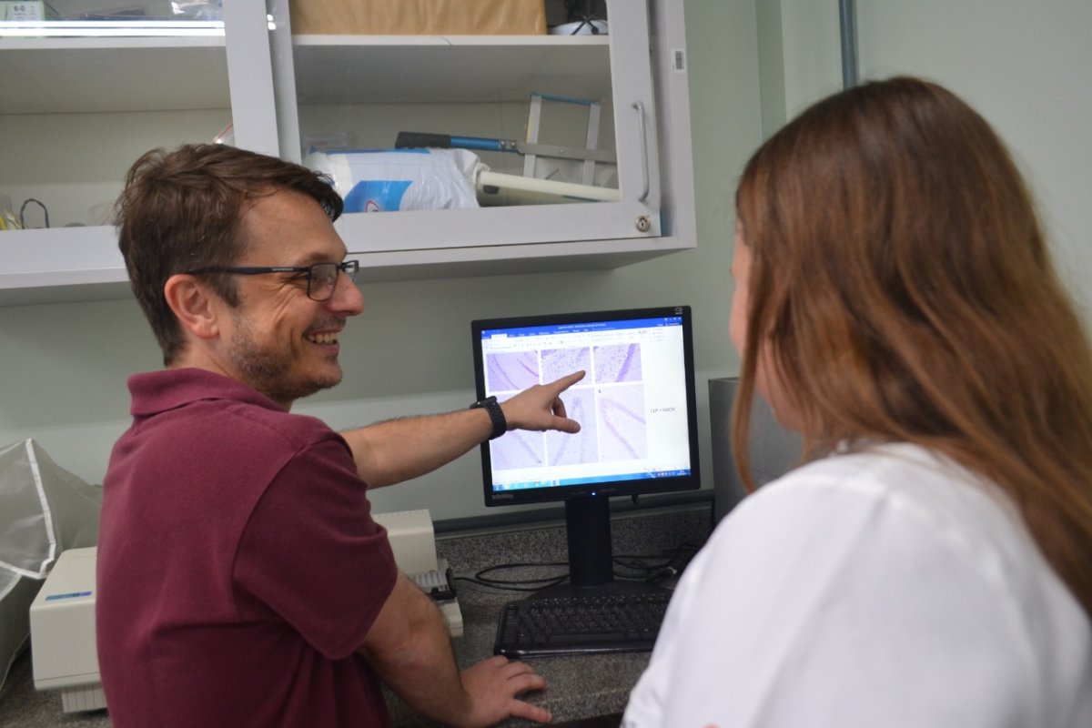 Unesc figura entre as melhores Universidades da América Latina 3 Unesc figura entre as melhores Universidades da América Latina