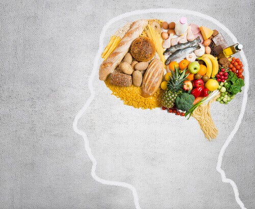 Turbine seu cérebro através da alimentação 1 Turbine seu cérebro através da alimentação