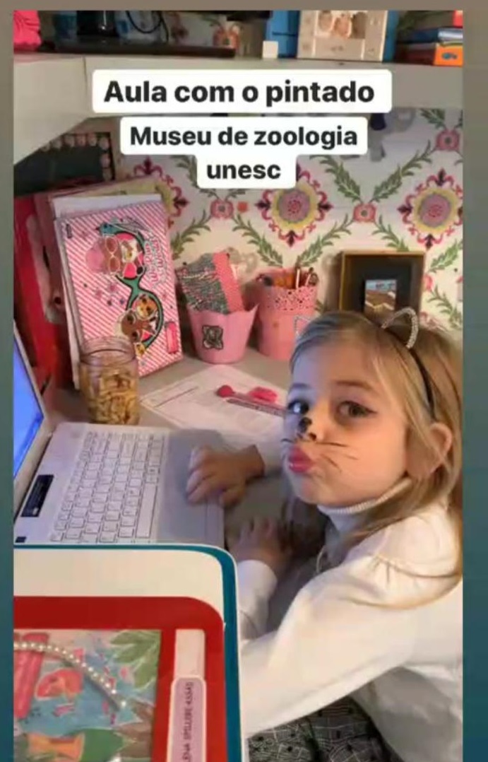 Conteúdos educativos do Museu de Zoologia da Unesc já foram acessado por mais de vinte mil crianças durante a pandemia 1 Conteúdos educativos do Museu de Zoologia da Unesc já foram acessado por mais de vinte mil crianças durante a pandemia