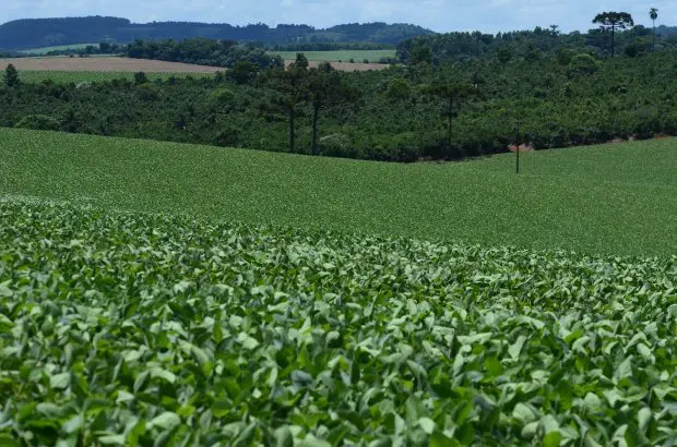 Cidasc emite comunicado sobre proibição de fabricação, comércio, prescrição e uso do herbicida Paraquat no Brasil