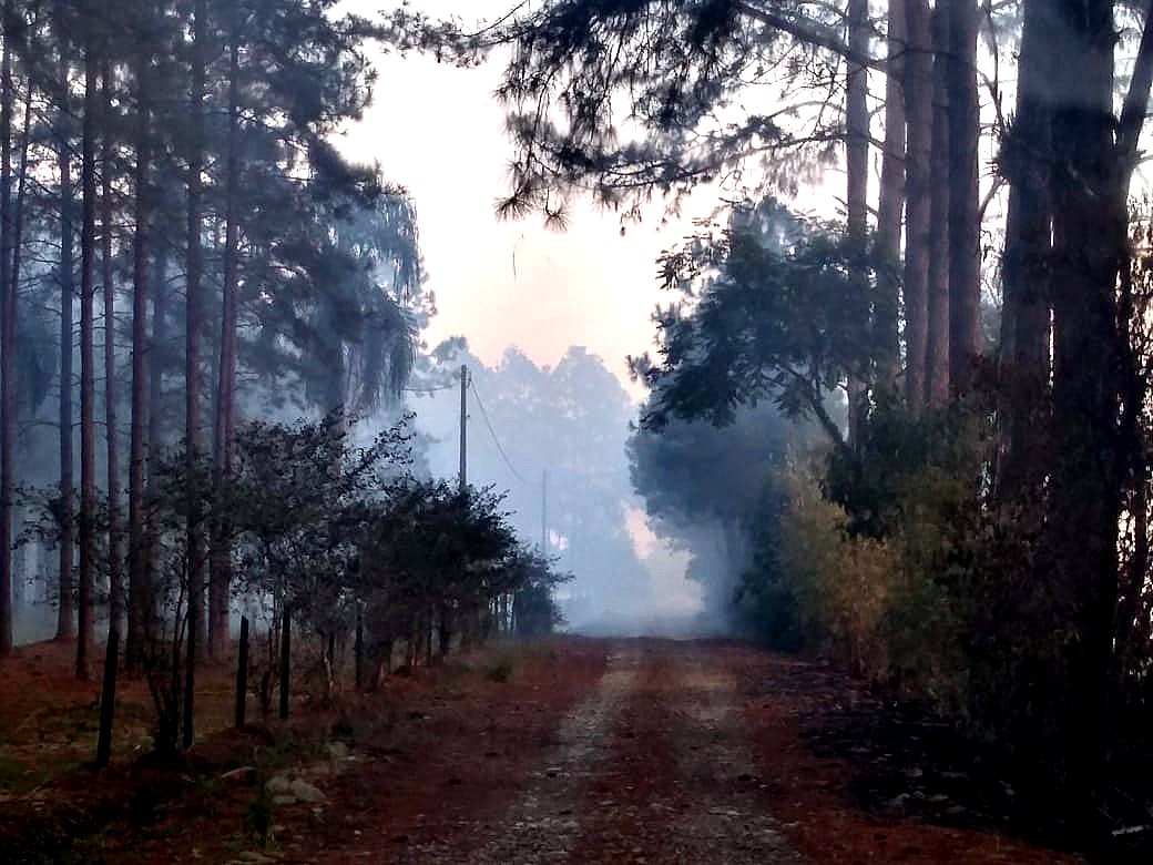 Novo prazo para o fim do mau cheiro na comunidade de São Bonifácio