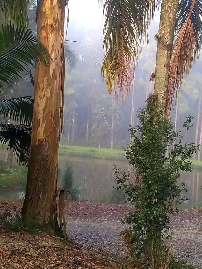 Novo prazo para o fim do mau cheiro na comunidade de São Bonifácio