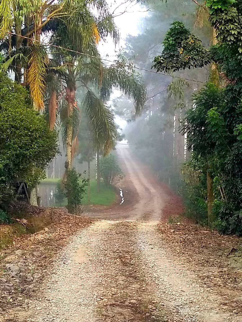 Novo prazo para o fim do mau cheiro na comunidade de São Bonifácio