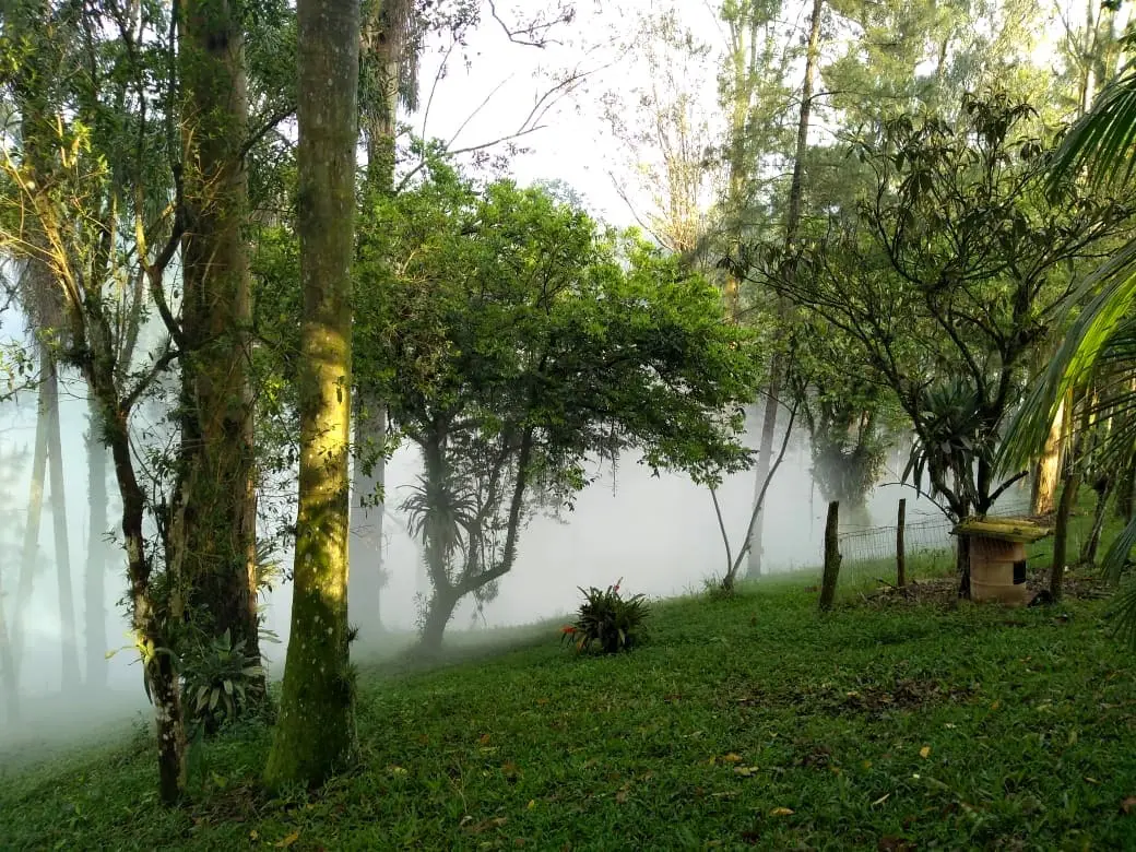 Novo prazo para o fim do mau cheiro na comunidade de São Bonifácio