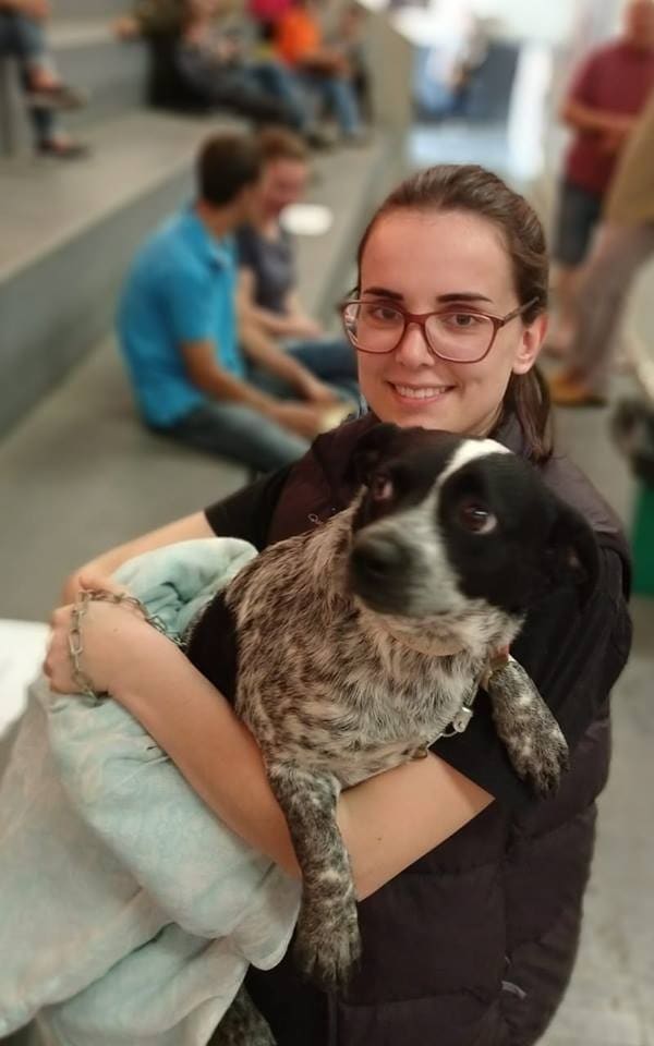10º Mutirão de Castração de cães e gatos é remarcado com novas regras 1 10º Mutirão de Castração de cães e gatos é remarcado com novas regras