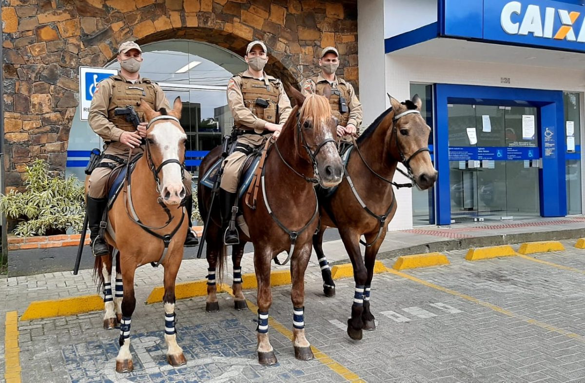 El novo Bistek 2 El novo Bistek