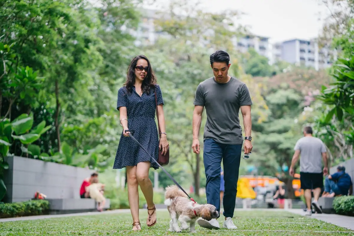 Caminhar no parque com o cachorro é uma ótima forma de aproveitar o fim de semana