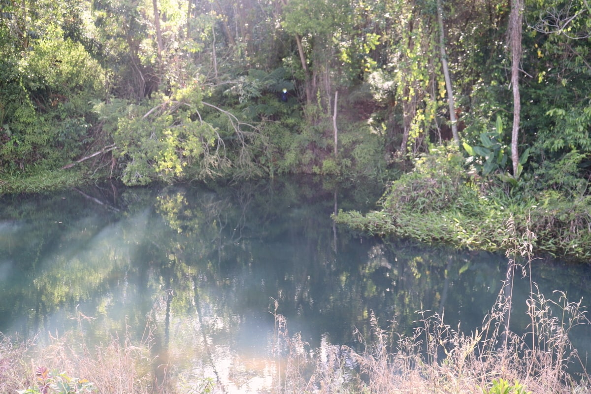 Unesc colabora na recuperação ambiental de mais de 140 hectares em Treviso e Siderópolis