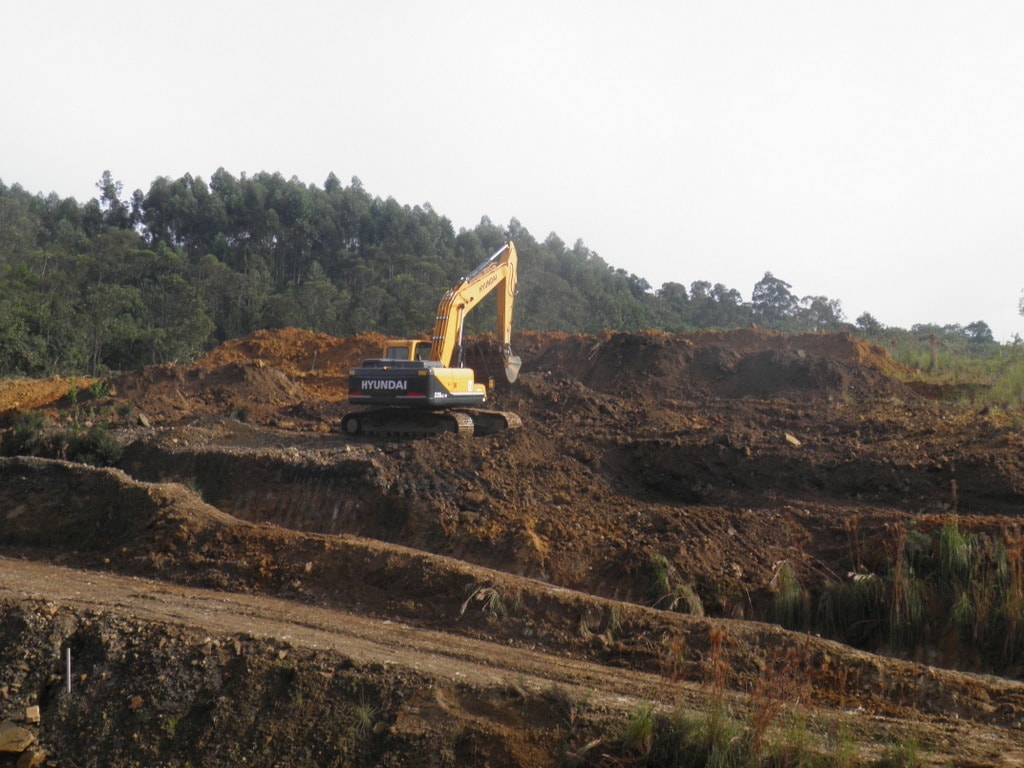 Unesc colabora na recuperação ambiental de mais de 140 hectares em Treviso e Siderópolis