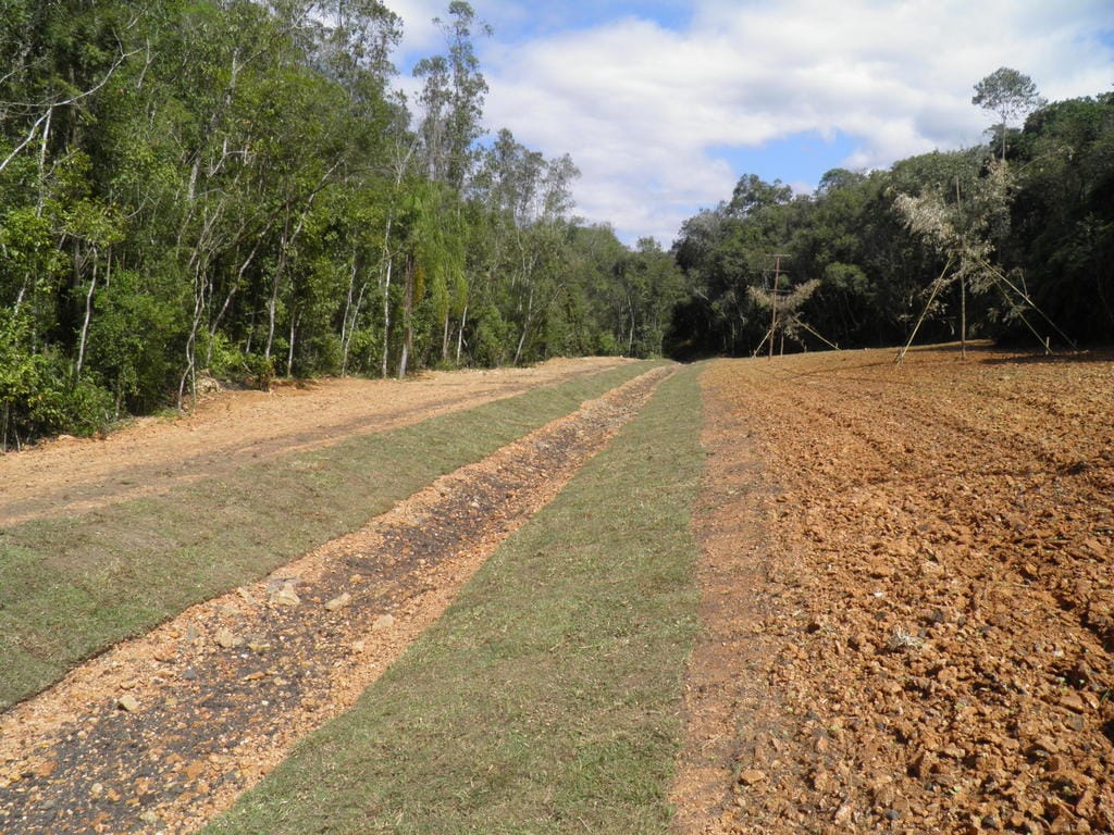 Unesc colabora na recuperação ambiental de mais de 140 hectares em Treviso e Siderópolis