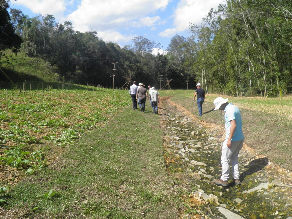 Unesc colabora na recuperação ambiental de mais de 140 hectares em Treviso e Siderópolis