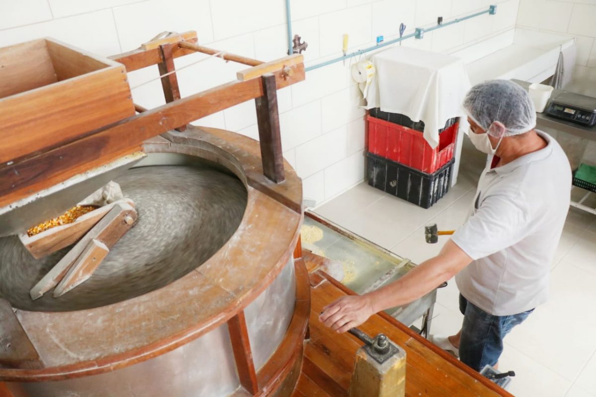 Agricultura familiar gera renda e garante qualidade na merenda escolar