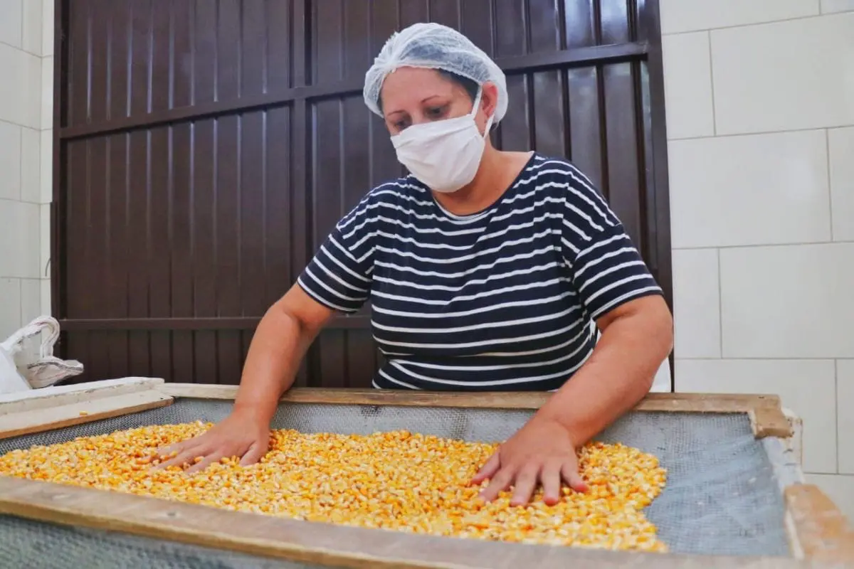 Agricultura familiar gera renda e garante qualidade na merenda escolar