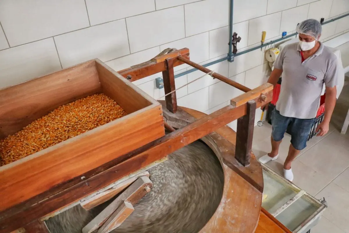 Agricultura familiar gera renda e garante qualidade na merenda escolar