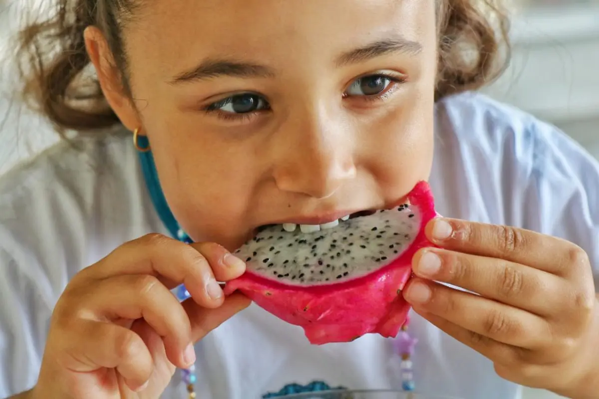 Agricultura familiar gera renda e garante qualidade na merenda escolar