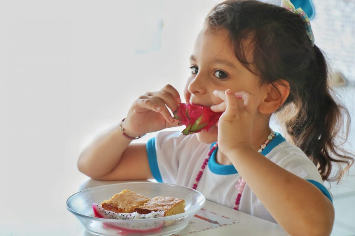 Agricultura familiar gera renda e garante qualidade na merenda escolar