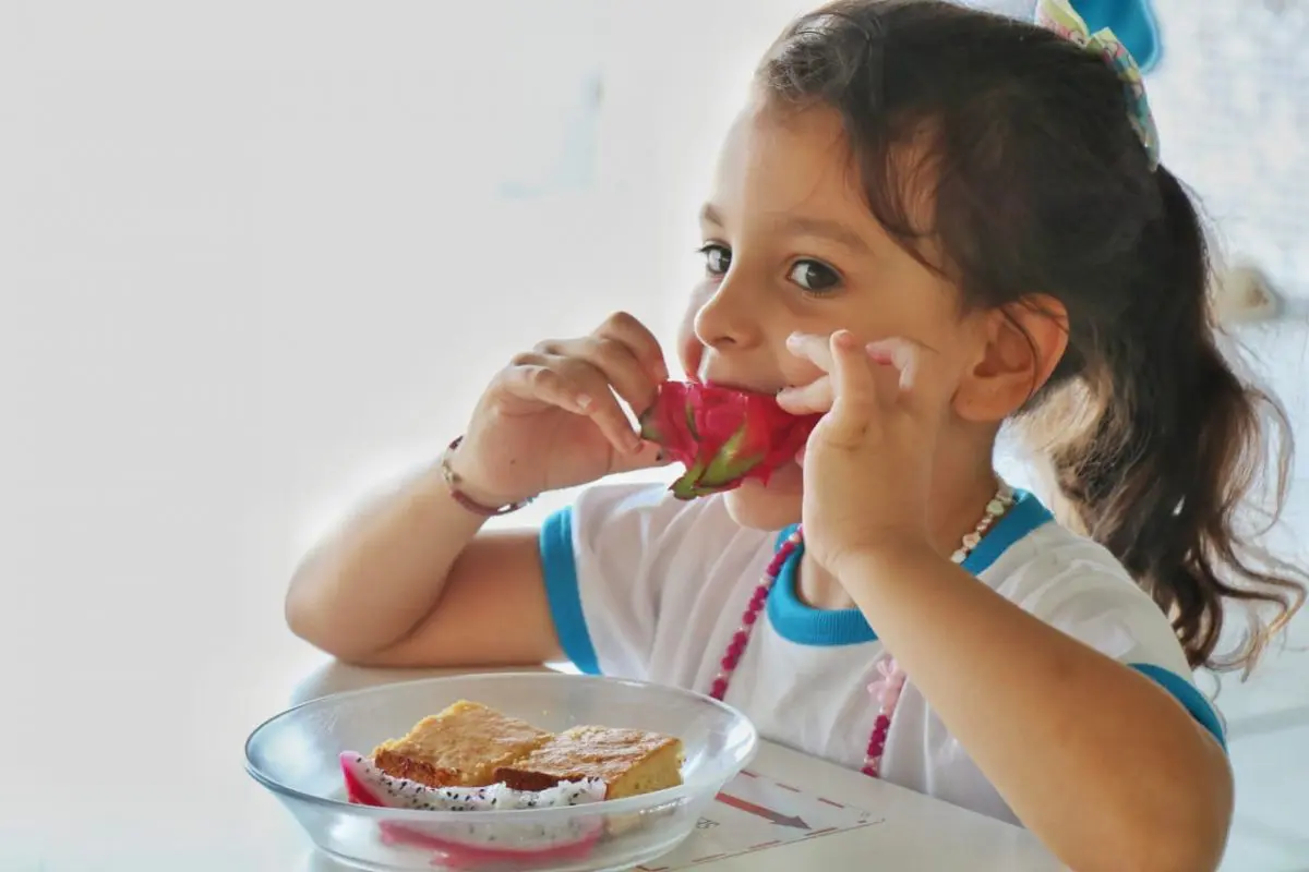 Agricultura familiar gera renda e garante qualidade na merenda escolar