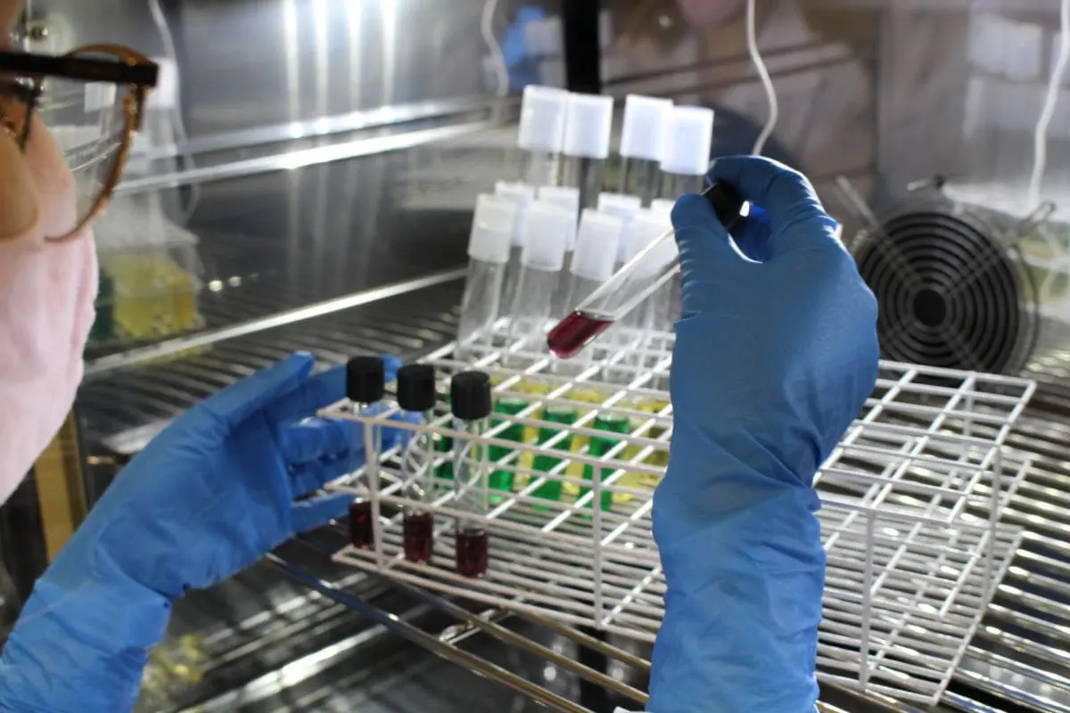 Novo laboratório de Microbiologia oferece serviços no CTSatc